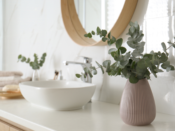 Bathroom in neutral colours with white basin and indoor plant