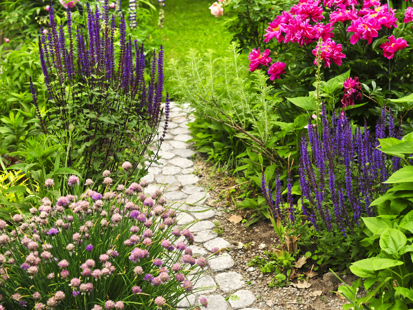 Paved path among flowers in low maintenance yard