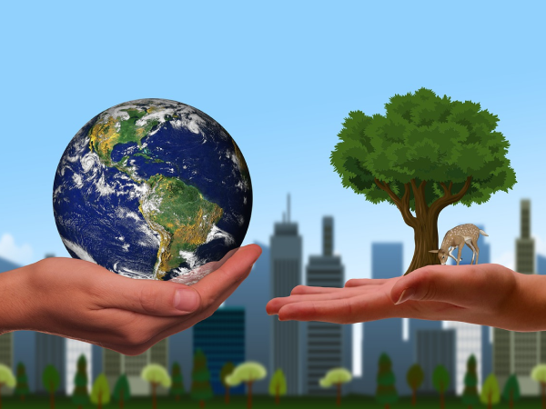 earth and tree held in hands