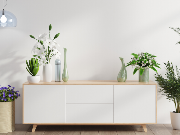 houseplants in minimalist home