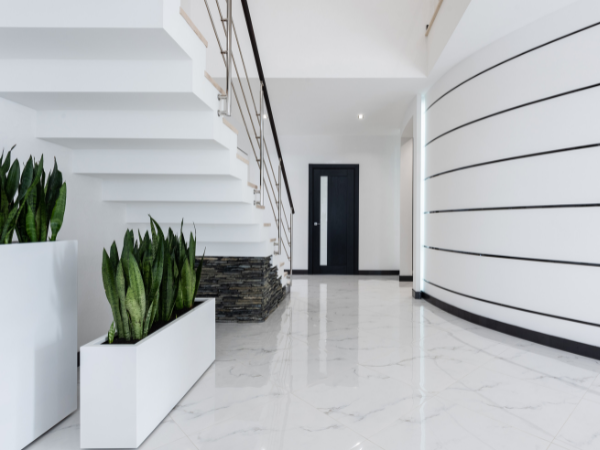 plants in white, modern, minimal hallway