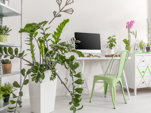 home office with indoor plants